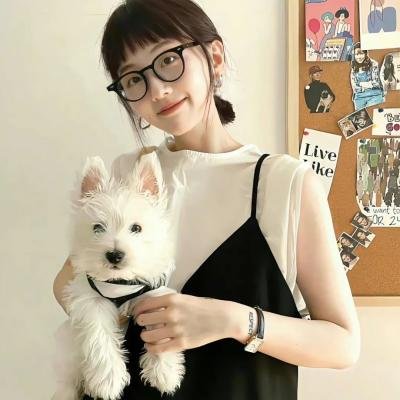 萌犬好声音3